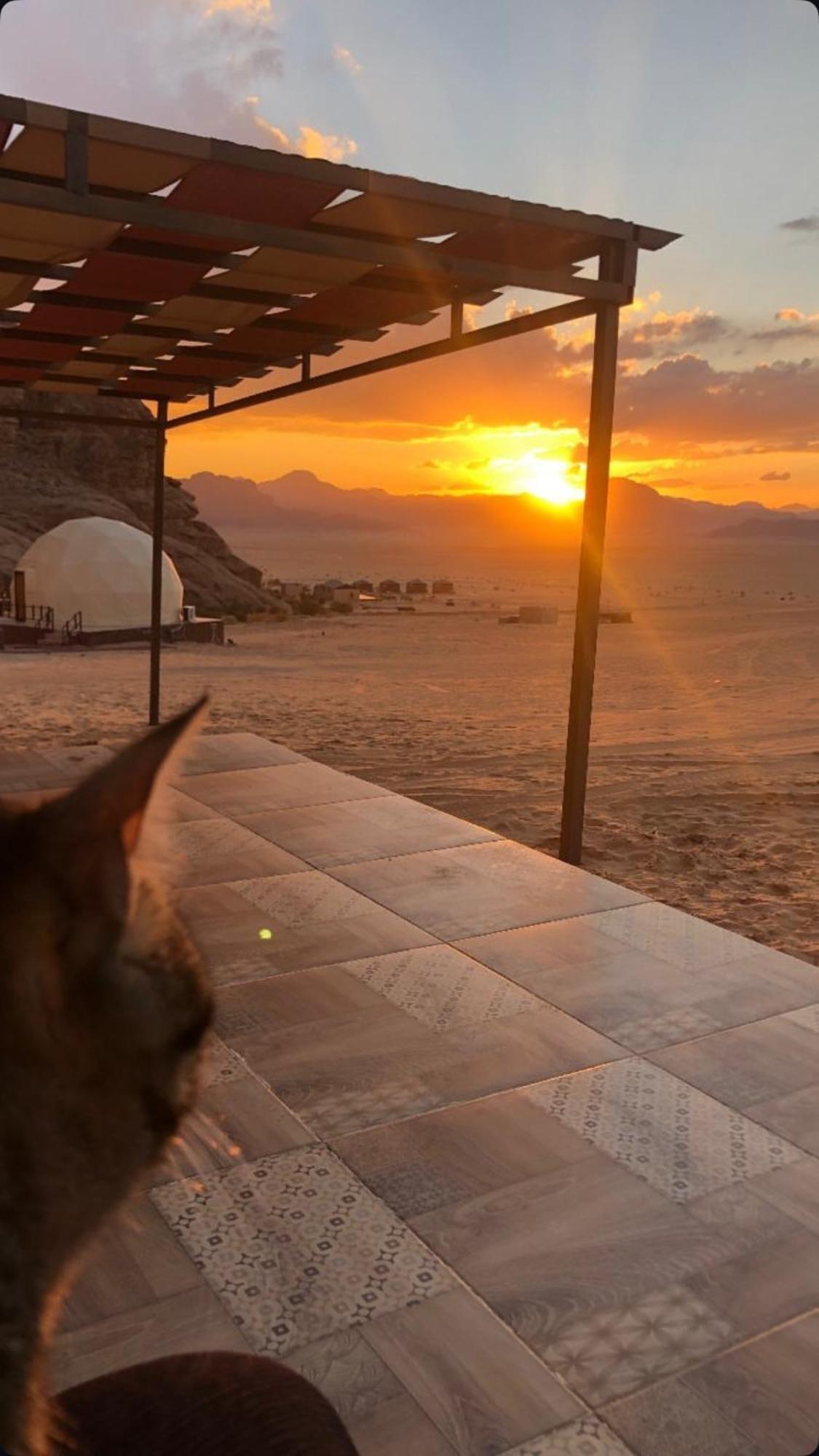 Wadi Rum Mars Camp Εξωτερικό φωτογραφία